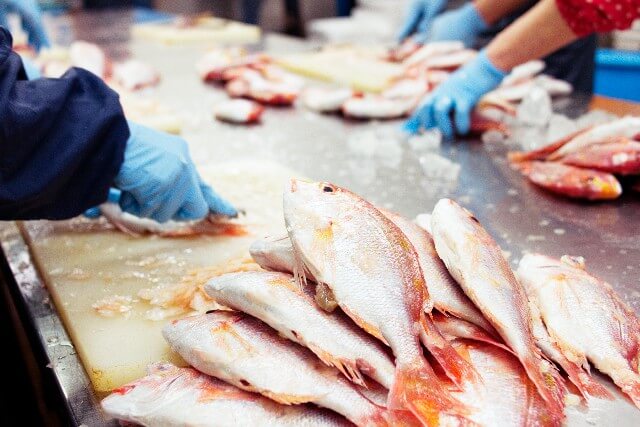 魚介類食料品加工場