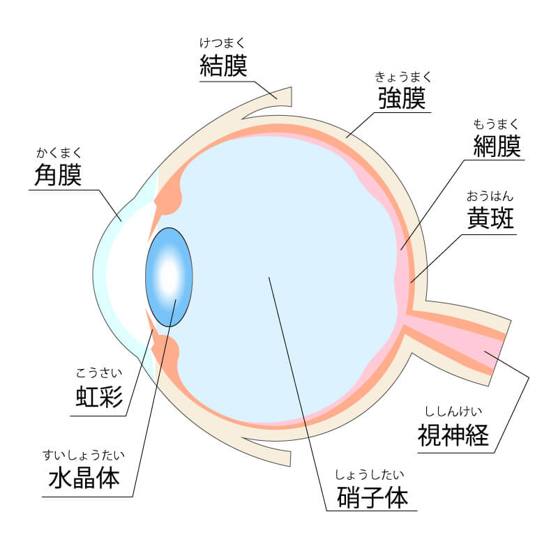 問27表1
